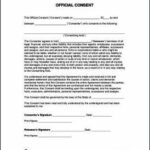 Consent Form Format PDF