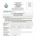 Lakshmi Bhandar Form PDF