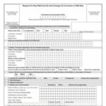 PAN Correction Form PDF